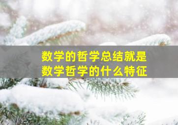 数学的哲学总结就是数学哲学的什么特征