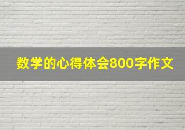 数学的心得体会800字作文