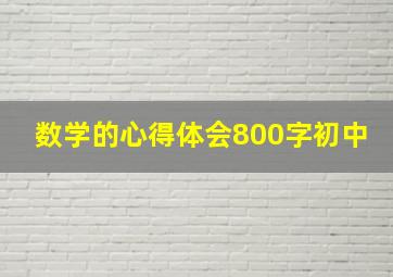 数学的心得体会800字初中