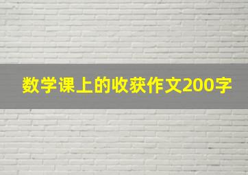 数学课上的收获作文200字