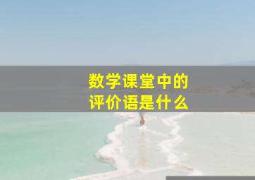 数学课堂中的评价语是什么