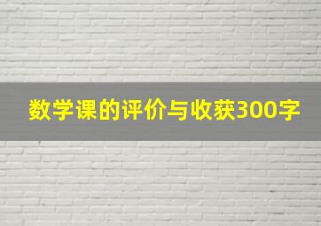 数学课的评价与收获300字