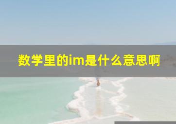 数学里的im是什么意思啊