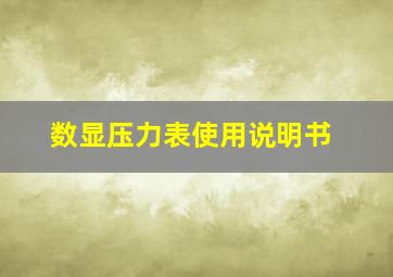 数显压力表使用说明书