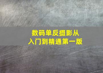 数码单反摄影从入门到精通第一版