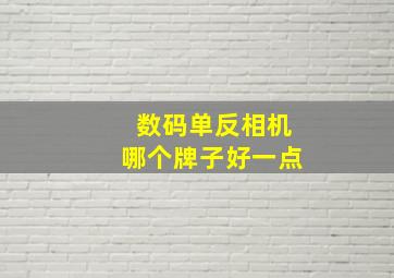 数码单反相机哪个牌子好一点