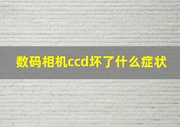 数码相机ccd坏了什么症状