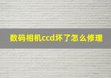 数码相机ccd坏了怎么修理