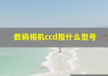 数码相机ccd指什么型号