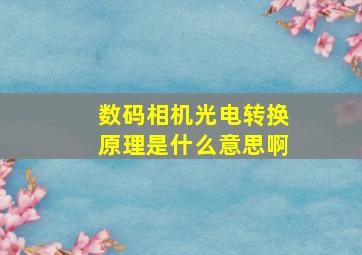 数码相机光电转换原理是什么意思啊