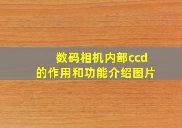 数码相机内部ccd的作用和功能介绍图片