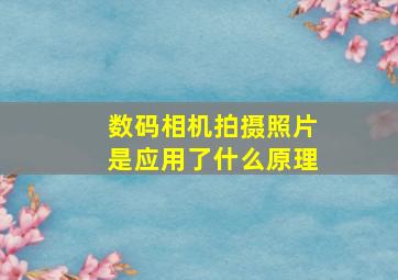 数码相机拍摄照片是应用了什么原理