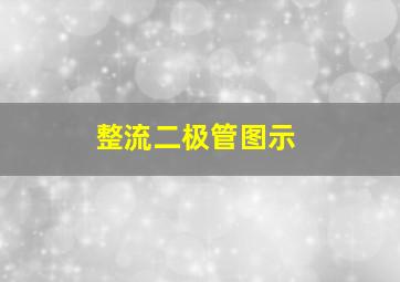 整流二极管图示