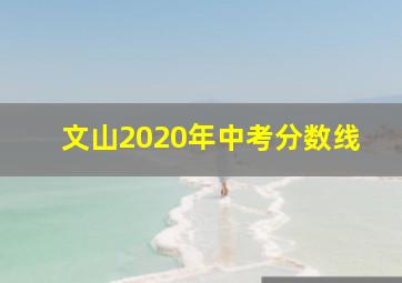 文山2020年中考分数线