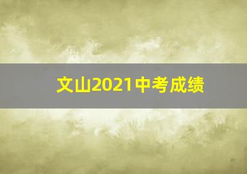 文山2021中考成绩