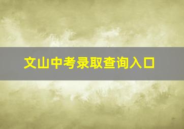 文山中考录取查询入口