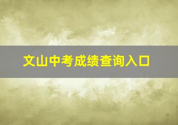 文山中考成绩查询入口