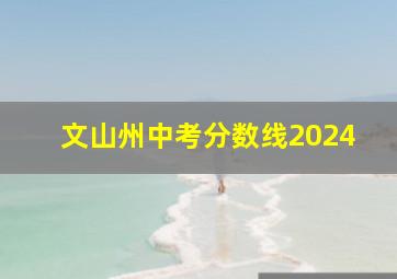 文山州中考分数线2024