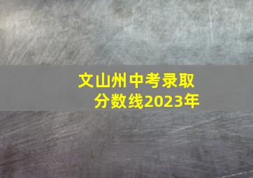 文山州中考录取分数线2023年