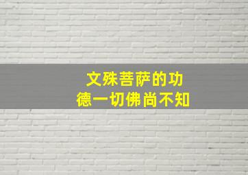 文殊菩萨的功德一切佛尚不知