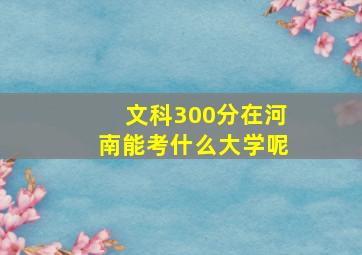 文科300分在河南能考什么大学呢