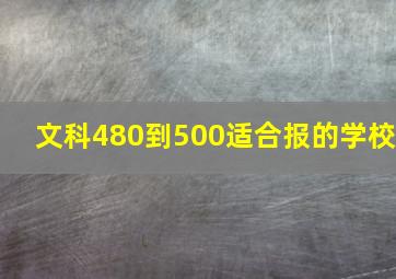 文科480到500适合报的学校