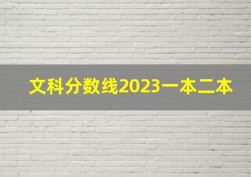 文科分数线2023一本二本