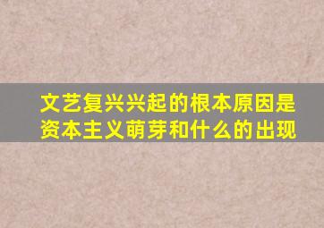 文艺复兴兴起的根本原因是资本主义萌芽和什么的出现