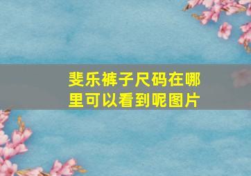 斐乐裤子尺码在哪里可以看到呢图片