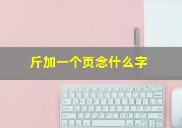 斤加一个页念什么字