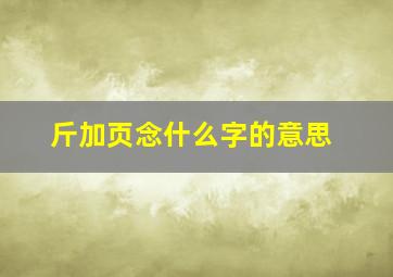 斤加页念什么字的意思