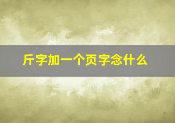 斤字加一个页字念什么