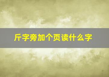 斤字旁加个页读什么字