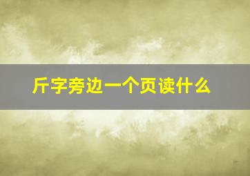 斤字旁边一个页读什么