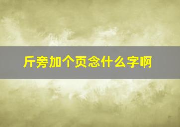 斤旁加个页念什么字啊