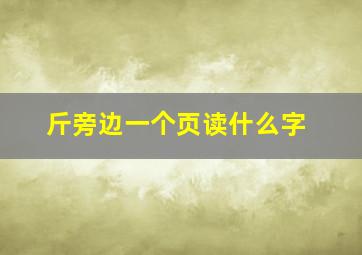 斤旁边一个页读什么字