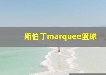 斯伯丁marquee篮球