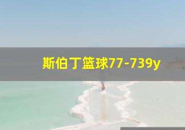 斯伯丁篮球77-739y