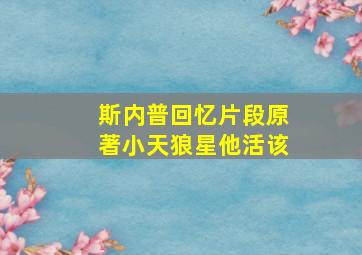 斯内普回忆片段原著小天狼星他活该