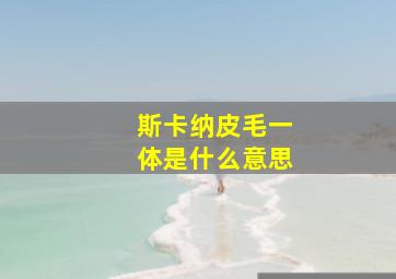 斯卡纳皮毛一体是什么意思