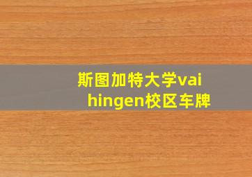 斯图加特大学vaihingen校区车牌