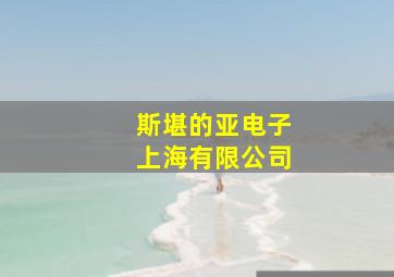 斯堪的亚电子上海有限公司