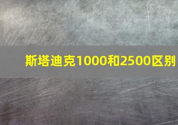 斯塔迪克1000和2500区别