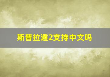 斯普拉遁2支持中文吗