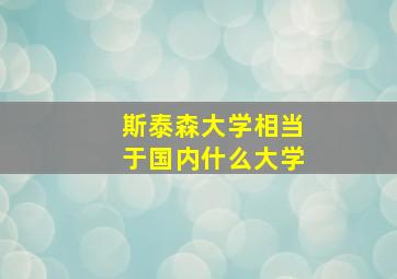 斯泰森大学相当于国内什么大学