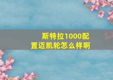 斯特拉1000配置迈凯轮怎么样啊