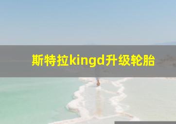 斯特拉kingd升级轮胎