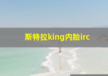 斯特拉king内胎irc