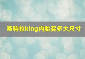 斯特拉king内胎买多大尺寸