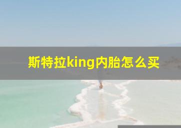 斯特拉king内胎怎么买